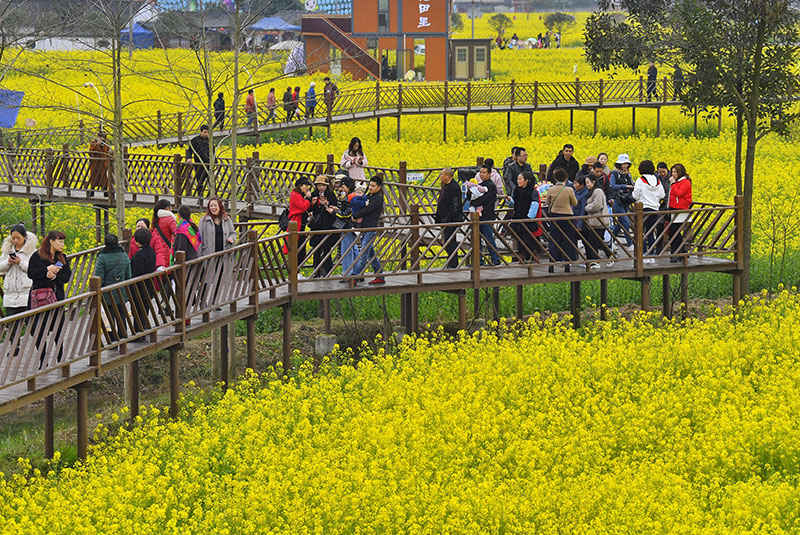 鄉(xiāng)村旅游